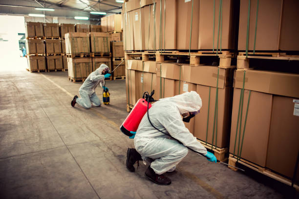 Best Local Pest Control Services  in Alto, TX