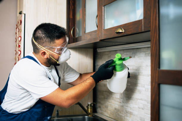Best Flea Control Services  in Alto, TX