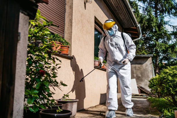 Flea Control Services in Alto, TX