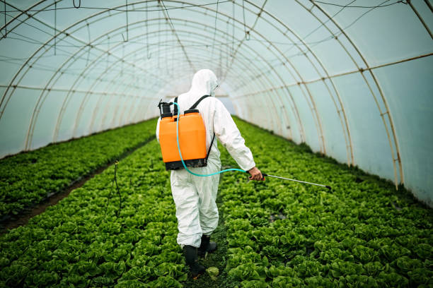 Best Mosquito Control Services  in Alto, TX